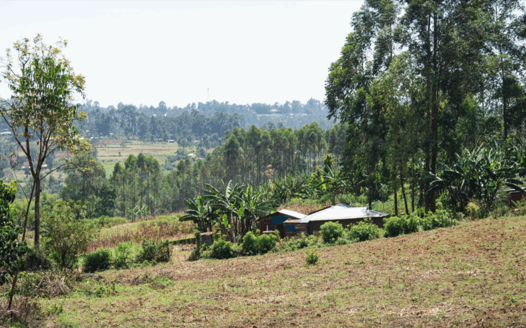 ​Communities and farmland near the Kakamega forest