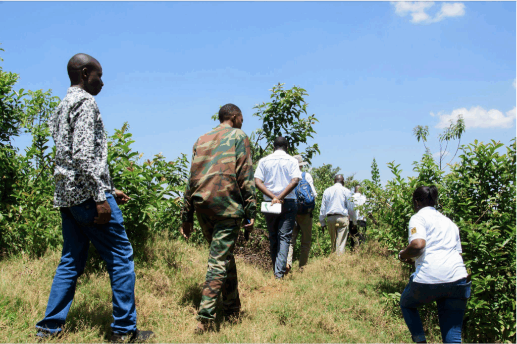 Delegation together with Kenya Forest Service officers visiting a part of the forest area that needs restoration due to guava invasion.