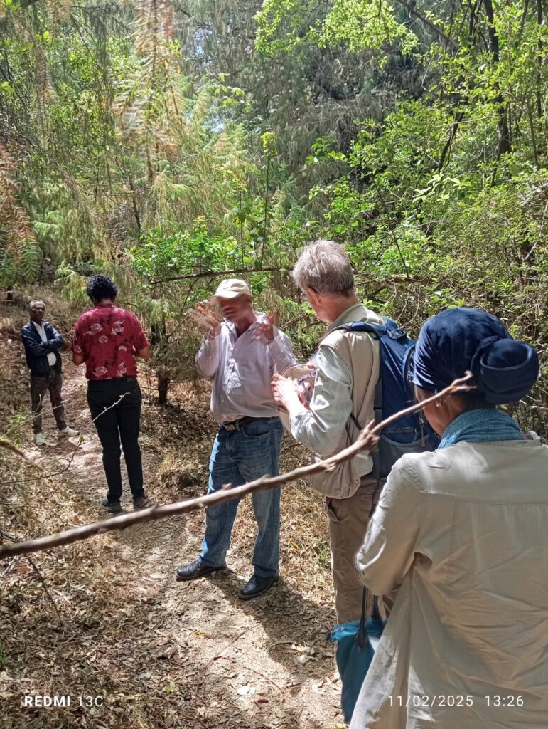 Asela Abuna Teklehaimanot  church forest of the Ethiopian Orthodox Church in Asela, Ethiopia.