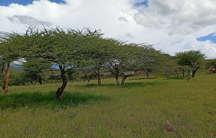 Visit to Mr Lesokoyo Farm