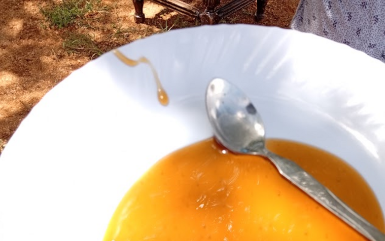 Visit to Mr Lesokoyo Farm Isiolo