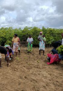 Event: World Wetlands Day