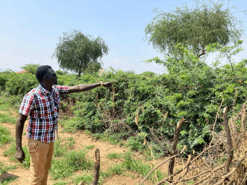 East Tiaty OikoDiplomatique and AIC visit