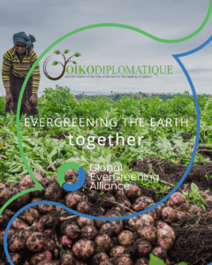 OikoDiplomatique Joins the Global EverGreening Alliance