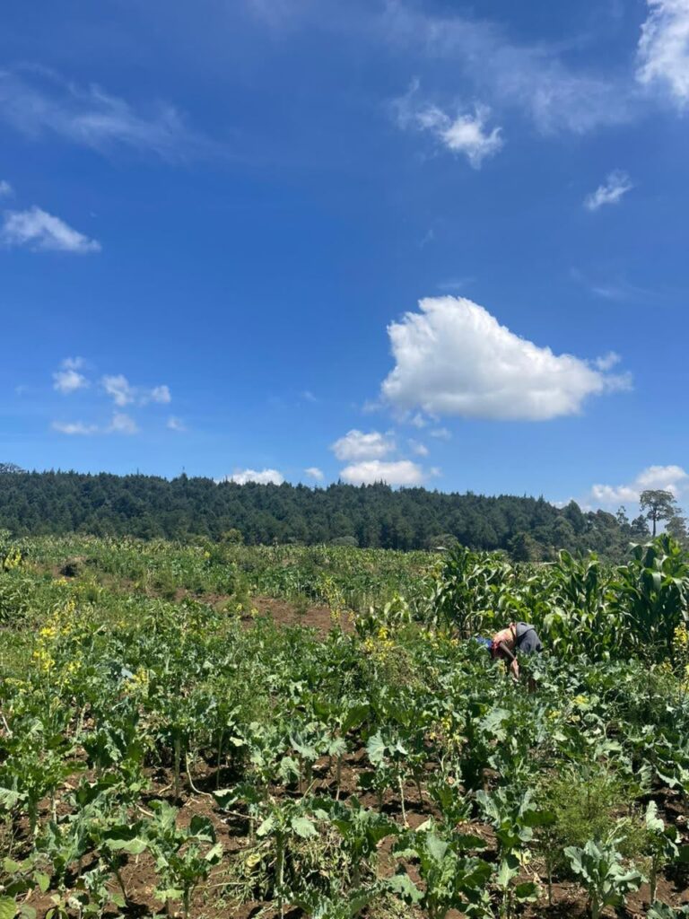 EOC-DICAC Visit Dec 2025